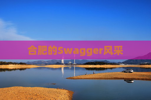 合肥的Swagger风采