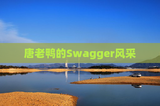 唐老鸭的Swagger风采
